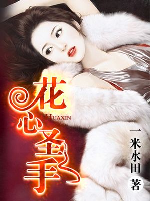 风流村长小说全集