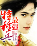 口袋妖怪黑2金手指