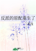伸缩梯