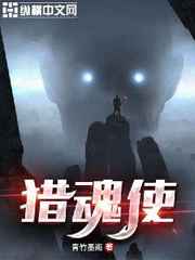 神偷奶爸2