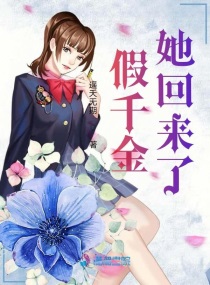 电视剧当家主母多少集