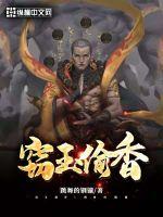 灰毛衣电影高清在线播放