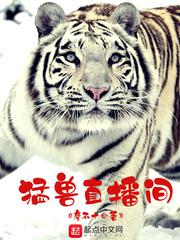 188男团系列哪个肉多