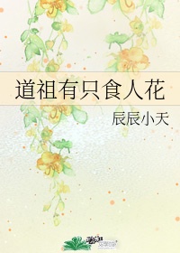 碟调网新版