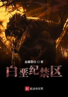 乡村女人乱情小说