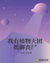 有夫之妇小说
