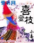 元龙战尊周元