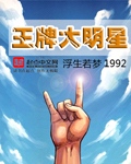 电视剧《灰雁》全集56