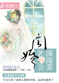 高桥圣子2024封面