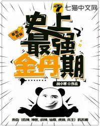 只狼影逝二度