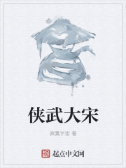 隐形将军电视剧全集