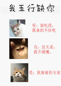 婚后冷战豪门老公