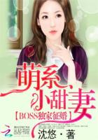 泷泽萝拉女教师mp4在线