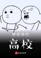 偶像来了第一季在线观看完整版免费