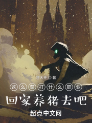 戴路视频
