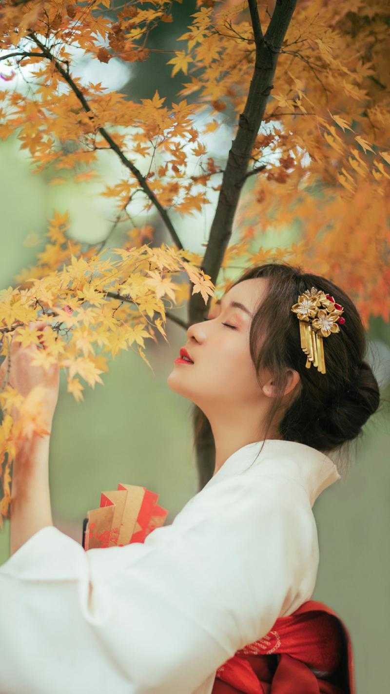 朕和朕的故宫延禧宫