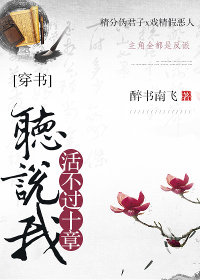 《美景之屋4》在线观看