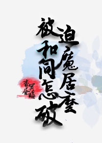 41312电影