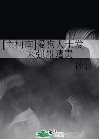 东野圭吾小说