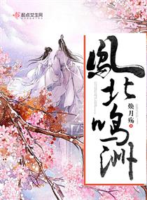 铁血保镖