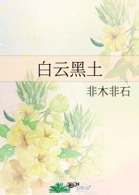 严浩翔×你车文肉河马的秘密河
