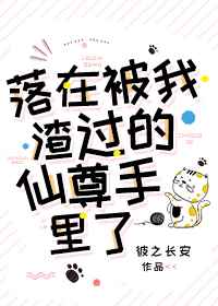 番茄视频在线观看1080p