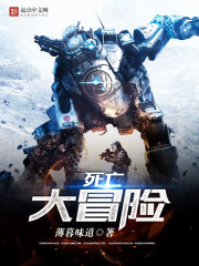 偷上姐夫小说