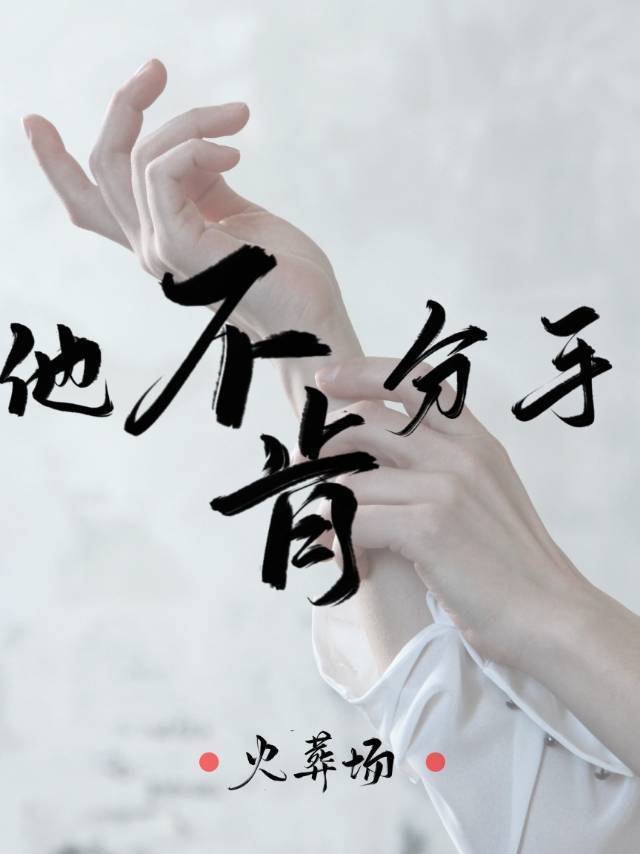 驯龙高手重回家园番外篇·归家
