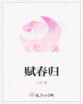 盐田集装箱公共查询