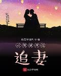 公主骑士征服战争