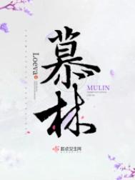 一场遇见爱情的旅行电视剧免费观看