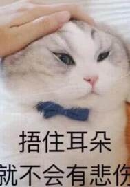 别人玩我R头