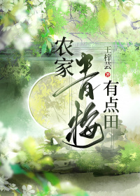 风流村长小说全集