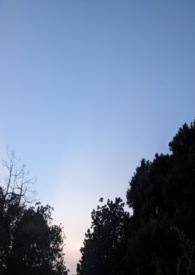 anquye小说