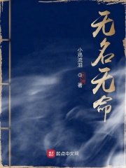 日本理论片在线观看看