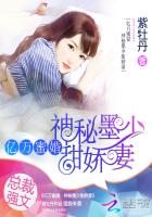 总裁小说网