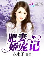 分类汇总怎么用