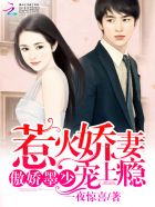 黑帮大佬的365天第三季在线播放