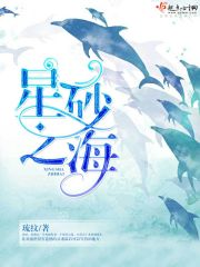 随意玩