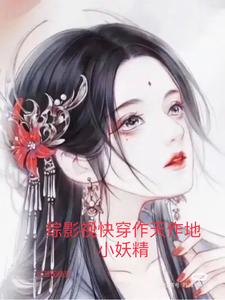 天龙八部之风流段誉