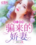 姬川优奈在线视频播放