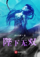 哈利波特与混血王子