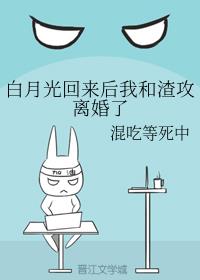 莱芜金点子电子版