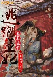 云巅之上第一季