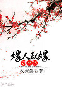 当幸福来敲门国语版免费播放