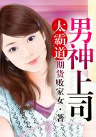 流氓高手txt
