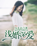 goodnotes电脑版windows