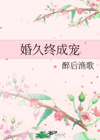 城市猎人小说