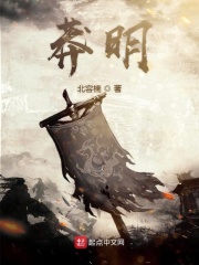 哈利波特与混血王子