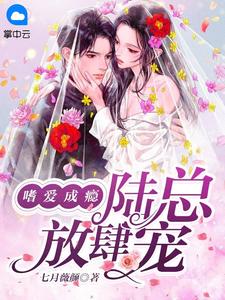18款禁用软件app入口